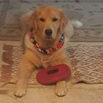 Jeffrey Malmgreen - @jeffreymalmgreen - Instagram
