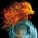 Jeffrey Mann - Facebook