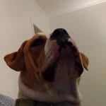 Jeffrey Mann - @jeffreymann39 - Instagram
