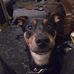 Jeff Martindale - Facebook