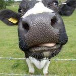 Jeffrey Mather - @jwm491 - Instagram