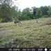 Jeff McCutcheon - Facebook