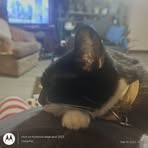 Jeff McQuiston - Facebook