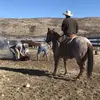 jeffrey maley - @jeffreymaley80 - TikTok