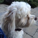 Jeffrey Milne - @its_jmi - Instagram