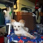 Jeffrey Mosier - @mosier.jeffrey - Instagram