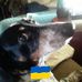 Jeffrey Mummert - Facebook