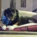Jeff Nowicki - Facebook