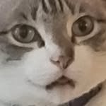 Jeffrey Nutt - @jeffnutt12 - Instagram