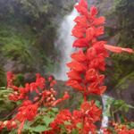 jeffreyoman - @jeffreyoman1 - Instagram
