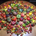 Mediama - @jeffrey_patrick21 - Instagram