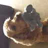 Patrick Jeffrey - @patrickjeffrey57 - TikTok