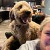 Jeffrey Peak - Facebook