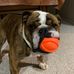 Jeffrey Peel - Facebook
