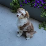 Jeffrey Peel - @peel.jeffrey - Instagram