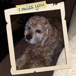 Jeffrey Pendergrass - @pendergrassjeffrey - Instagram