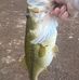 Jeff Perrin Jr. - Facebook
