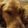 jeffreyperrin615 - @jeffreyperrin615 - TikTok