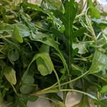 Jeffrey Pickles - @gardenerpickles - Instagram