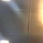 @jeffrey_plankten - Instagram