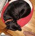 Jeff Plumb - Facebook