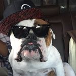 Jeff The Plumber - @jeffreytheplumber - Instagram