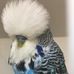 Jeffrey Plummer - Facebook