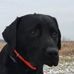 Jeffrey Plummer - Facebook