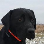 Jeffrey Plummer - @jeffrey.plummer.31 - Instagram