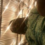 Jeffrey Plummer - @jeffrey.plummer3 - Instagram
