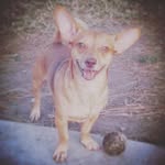 jeffreytinoco - @jeffrey_poppin - Instagram