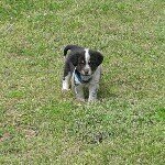 Jeffrey Pressley - @jeffreypressley1 - Instagram