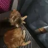 jeffpriebe3 - @jeff.priebe - TikTok