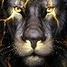 Jeffrey Priebe - Facebook