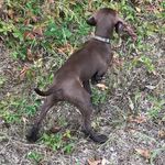 Jeffrey Quick - @jqfire99 - Instagram