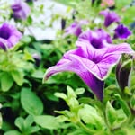 Jeffrey Rabey - @jeffreyrabey - Instagram