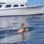 Jeffrey Rake - @swimminjeff - Instagram