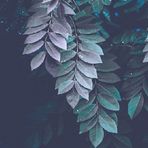 Jeffrey Rauch - Facebook