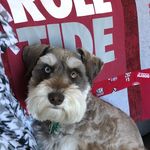 Jeff Raymer - @raymerjeffrey - Instagram