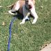 Jeffrey Redd - Facebook