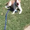 Jeffrey Redd - @jeffrey.redd0 - TikTok