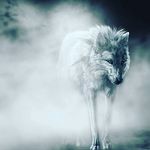 yonis#$& - @jeffrey_redmonkey - Instagram