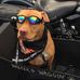 Jeff Rieger - Facebook