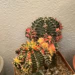 Jar Rios - @jeffrey_rios_ - Instagram
