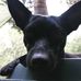 Jeffrey Ritch - Facebook