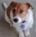 Jeff Rolfe - Facebook