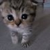 Jeff Rudneh - Facebook