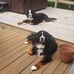 Jeff Rudnik - Facebook