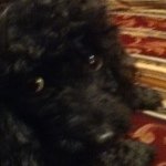 Jeffrey - @jeffreyrules22 - Instagram