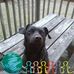 Jeffrey Rupp - Facebook